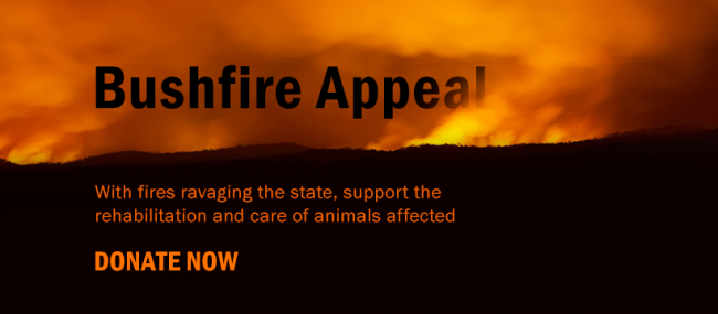 Bushfire Appeal